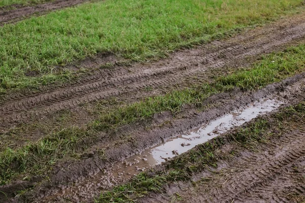 Tracce di pneumatici sul prato verde. Vista a terra danneggiata — Foto Stock