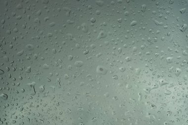 Yağmurdan sonra temiz su bardağa düşer.