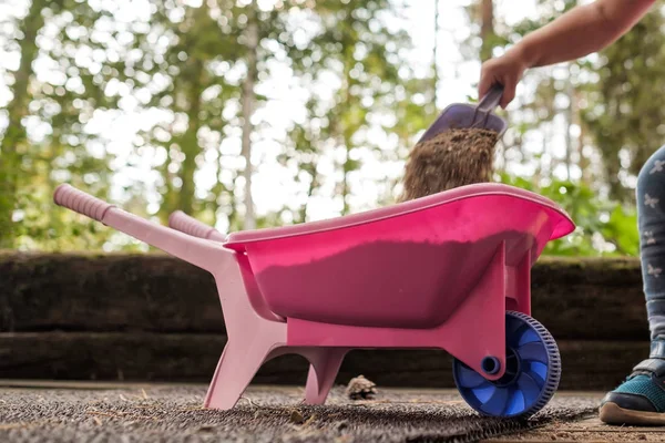 Child putting sas in plastic pink toy wheelbarrow — Stock Photo, Image