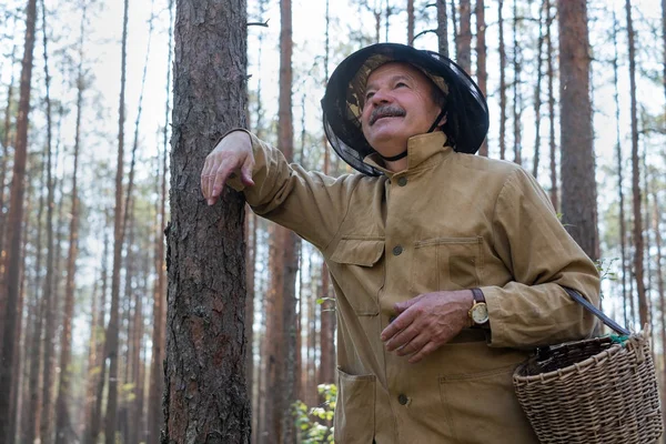 Old man walking. Grandpa Pensioner. Senior hiking in forest. Summer and hobbies. Old bearded mushroomer in summer forest