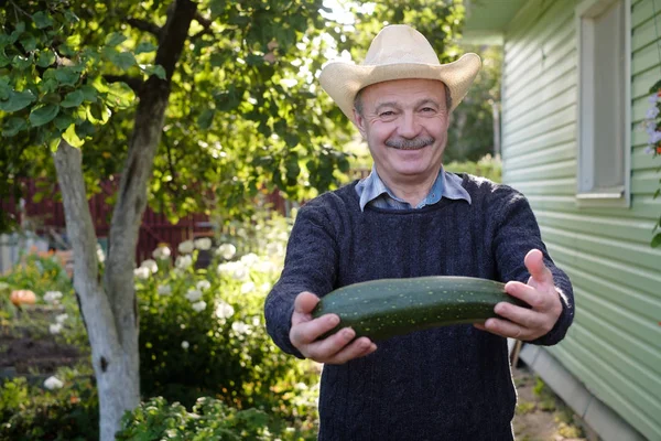 Man met verse groene courgette glimlachend tevreden met zijn herfst oogst. — Stockfoto