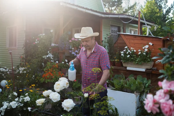 Senior man sproeien rozen en andere bloemen in een tuin — Stockfoto