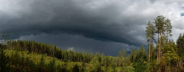 Rain cloud over the forest on Finland on summer day. Nature view.