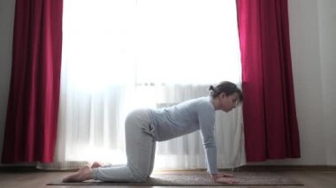 Beyaz kadın evde kedi yoga pozu veriyor..