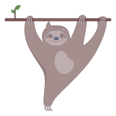 Ağacın dalında gülümseyen şirin tembel hayvan..