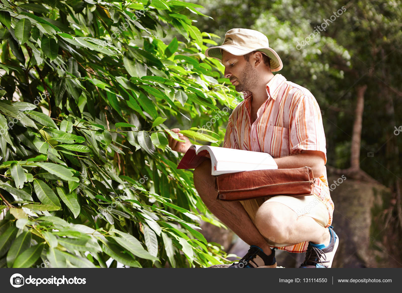 Science and ecology. Handsome bearded ecologist with briefcase and manual  exploring problems of wildlife at field work in rainforest, holding leaves  of ...