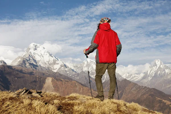 Mountaineering, climbing and hiking concept. Unrecognizable tourist holding trekking poles having rest on top of hill with dry grass and looking at beautiful scenery of summits of the Himalayas