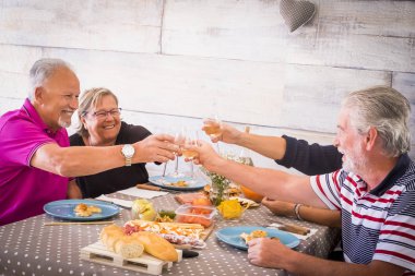4 büyükler şarap ile toasting ve Brindisi birlikte kutluyor öğle yemeğinde. Erkekler bir sakal ve gözlük kadınlar var