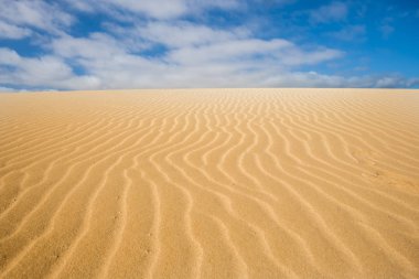 Doğa, kum ve kum tepelerine fuerteventura çöl. Hiç bir waolk. Keşfetmek için muhteşem yer.