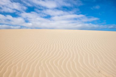 fuerteventura corralejo dunes kum düz ve eğri çizgiler. Güzel bir mavi gökyüzü altında