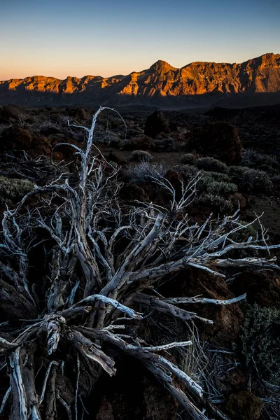 Bela Montanha Rochosa Fundo Vale Vermelho Teide Vulcano Tenerife Durante — Fotografia de Stock