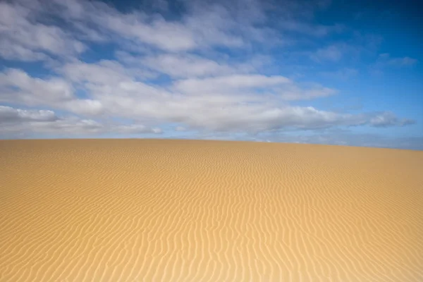 Красивый Вид Рисунком Песчаная Дюна Пустыне Желтое Голубое Небо Природа — стоковое фото