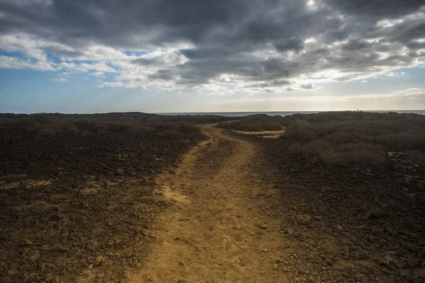 Vía Terrestre Para Llegar Océano Desierto Ambos Lados Cielo Azul — Foto de Stock