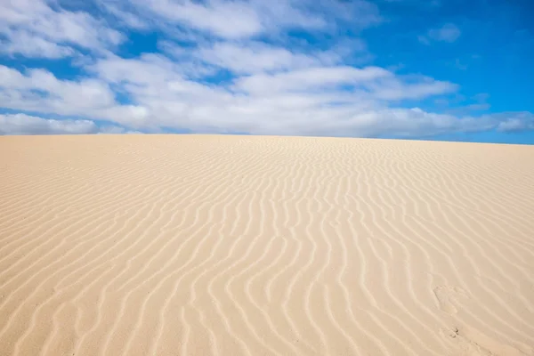 Прямые Изогнутые Линии Песка Дюнах Fuerteventura Corralejo Красивым Голубым Небом — стоковое фото