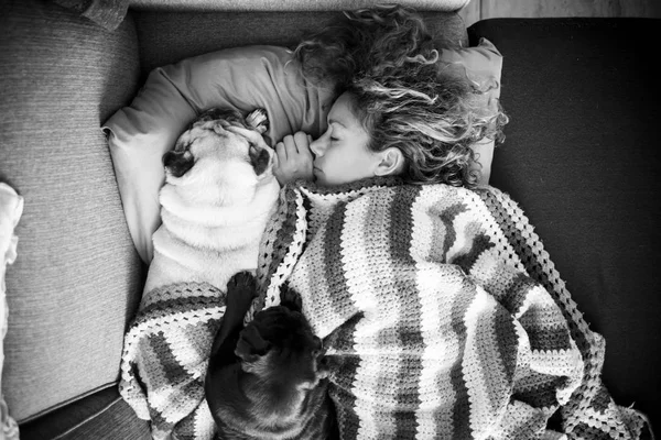 Жінка Довгим Кучерявим Волоссям Спить Вовняній Ковдрі Двома Мопсовими Собаками — стокове фото