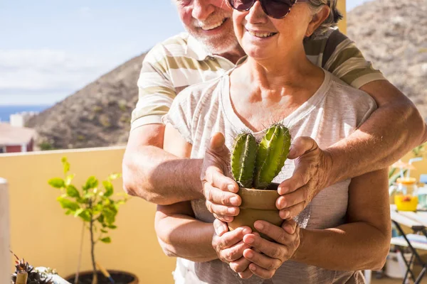 Hombre Mujer Viejos Cuidando Sus Plantas Hierba Vida Pareja Azotea —  Fotos de Stock