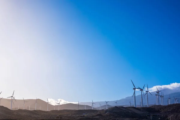Clean blue sky in beautiful nature concept tiwh clean energy production with wind farm. Tenerife. Modernity concept
