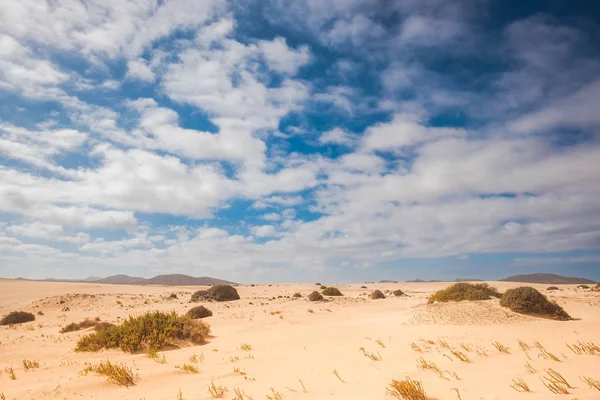 Desertic Place Climate Change Mountains Background Yellow Blue Colors Nobody — Stock Photo, Image