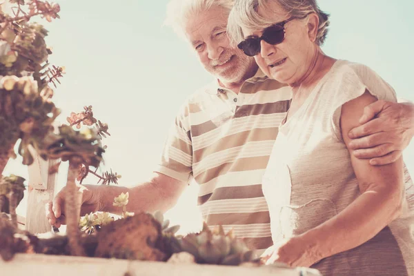 Hombre Mujer Viejos Cuidando Sus Plantas Hierba Vida Pareja Azotea — Foto de Stock