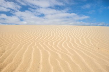 Doğa, kum ve kum tepelerine fuerteventura çöl. Hiç bir waolk. Keşfetmek için muhteşem yer.