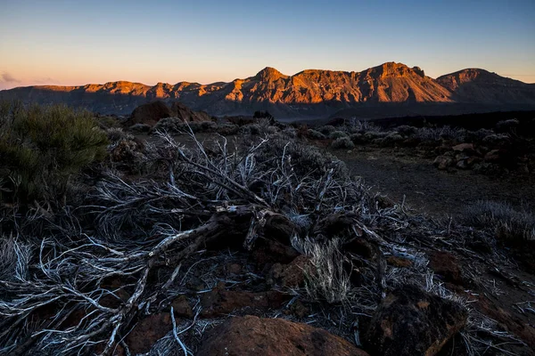 Pouštní Hory Tenerife Teide Vulcan Těšit Turistické Dovolené Teplé Barvy — Stock fotografie