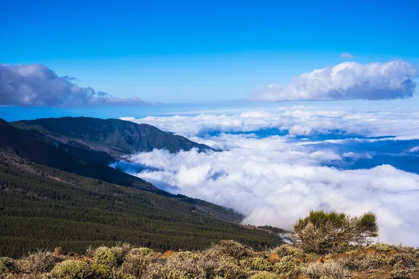 Nuvens Contra Montanha Visto Partir Topo Com Planta Perto Bela — Fotografia de Stock