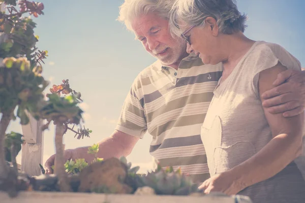 Hombre Mujer Viejos Cuidando Sus Plantas Hierba Vida Pareja Azotea — Foto de Stock