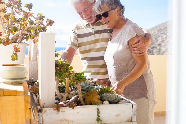 Tropical scene for senior hands working with grass plants. Leisure and interest for the nature.