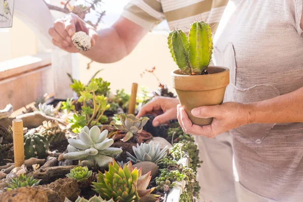 Scène Tropicale Pour Les Personnes Âgées Travaillant Avec Des Plantes — Photo