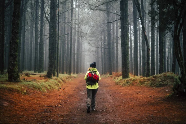 秋の松林の中を一人で歩くアドベンチャー女性 — ストック写真