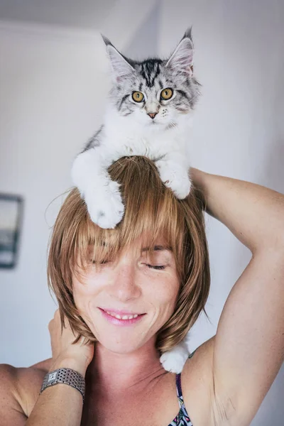 快乐美丽的高加索女人在家里享受她的美丽的猫 与好友有趣的猫科动物 宠物疗法的概念和人在室内休闲活动 — 图库照片