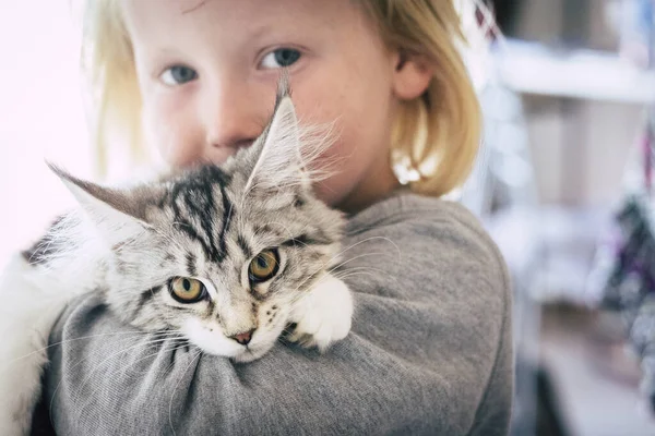 Vackra Vackra Porträtt Små Barn Defocused Bakgrund Och Söta Kattkatt — Stockfoto