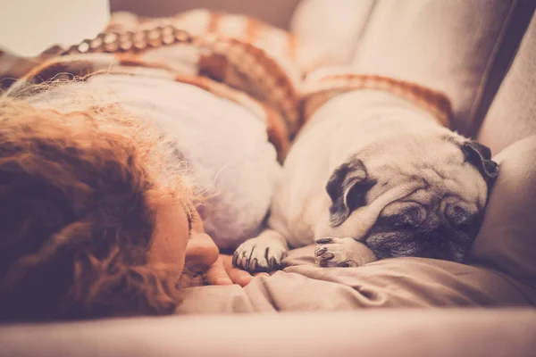 Caucásico Personas Mujer Dormir Sofá Casa Con Precioso Pug — Foto de Stock