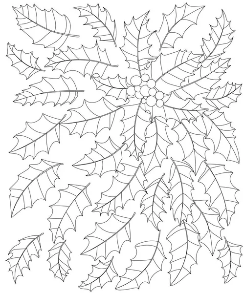 Black and white vector illustration of holly leaves and berries. Page coloring for adults, — Stock Vector