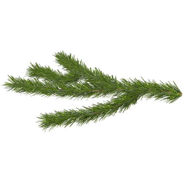 Fir tree geïsoleerd op wit, 3d illustratie — Stockfoto