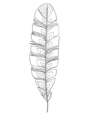 güzel siyah ve beyaz tüy