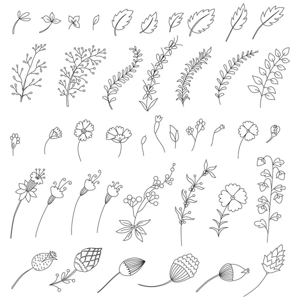 Set van handgetekende floral elementen, vector — Stockvector