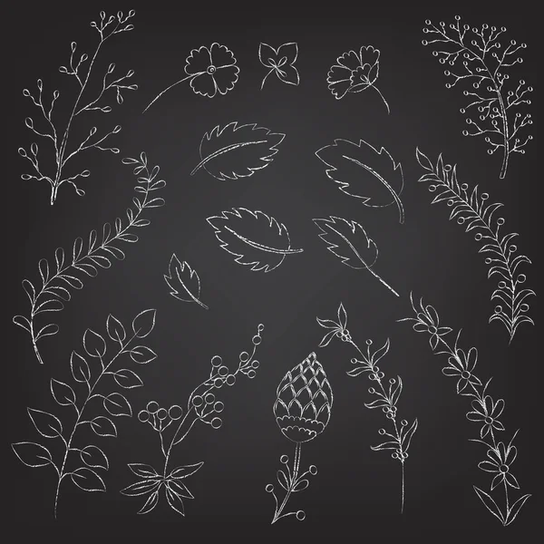 Set handgetekende floral elementen op een schoolbord. vector — Stockvector