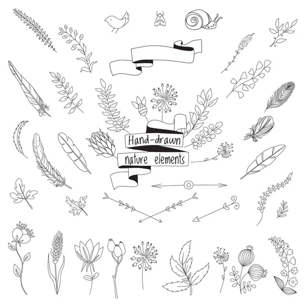 Hand drawn elements of nature set collection of leaves, flowers, feathers, ribbons, banners and arrows. Vector — Stock Vector