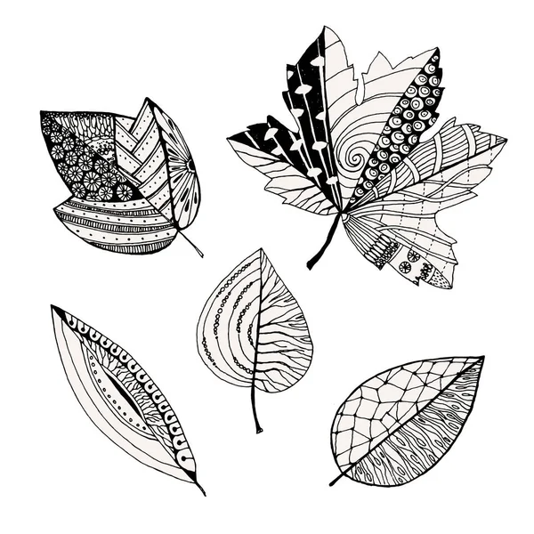 Set daun dekoratif, sketsa corat-coret, Vektor ilustrasi, terisolasi di atas putih - Stok Vektor