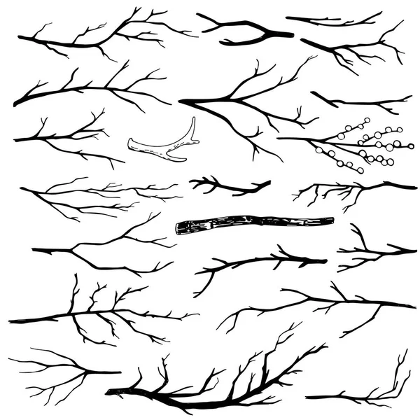Set of hand-drawn wood branches — Stock Vector