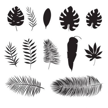 Beyaz izole tropikal yaprak silüeti kümesi