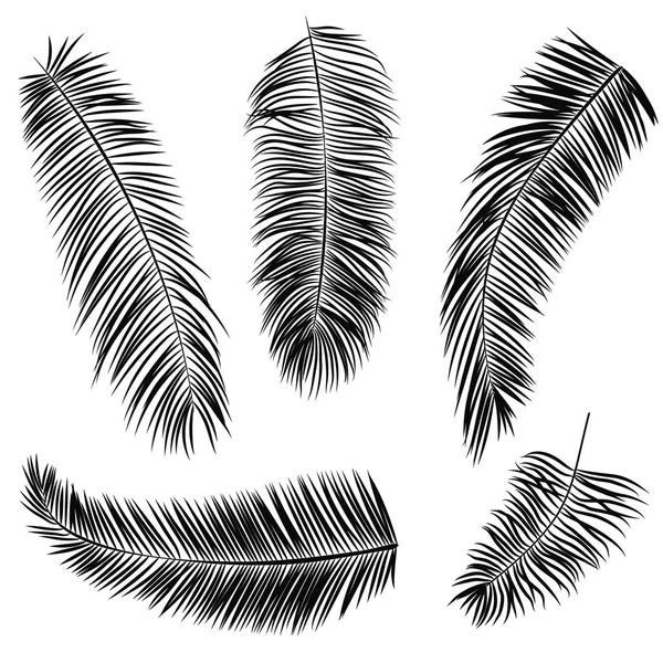 Palmiye siyah siluetler kümesi bırakır, üzerinde beyaz izole, vektör