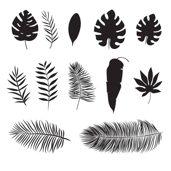 Beyaz izole tropikal yaprak silüeti kümesi