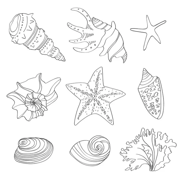 Jeu de coquilles doodle isolées sur blanc — Image vectorielle