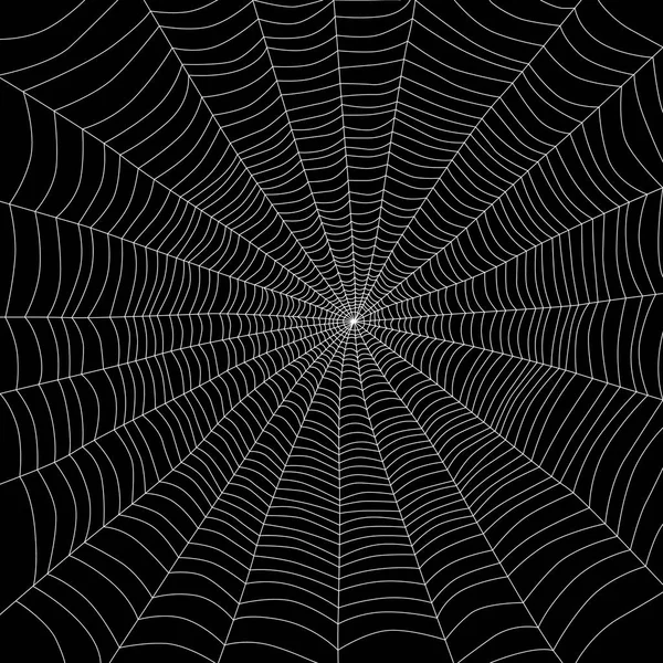 黒地白蜘蛛と背景 — ストックベクタ