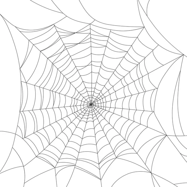 Spinnenweb geïsoleerd op wit, vectorillustratie — Stockvector