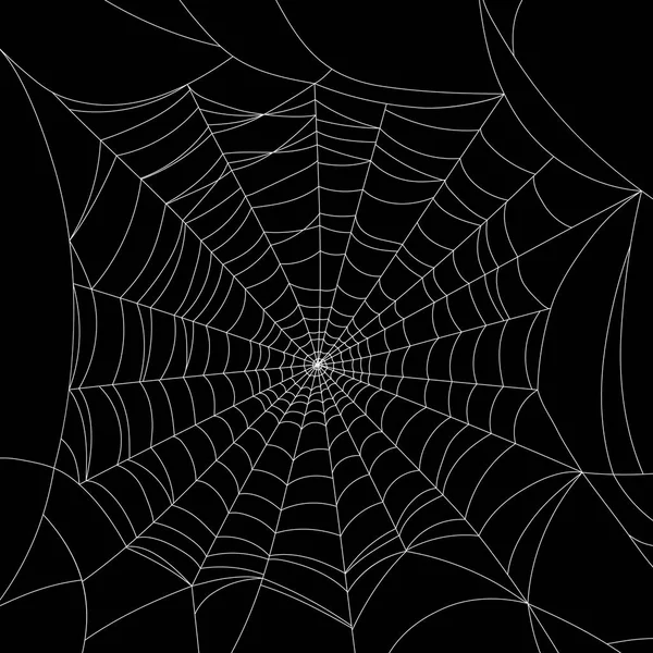 Spindelnät på svart — Stock vektor