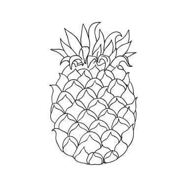Ananasın siyah beyaz çizimi. El çizimi vektör çizimi. Tropik meyve karalaması. Ananas baskısı doğrusal çizimi