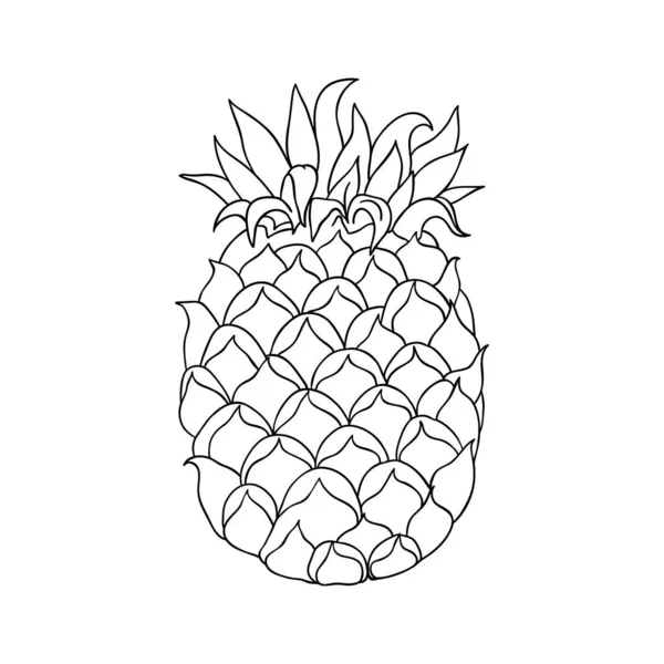 Ananasın Siyah Beyaz Çizimi Çizimi Vektör Çizimi Tropik Meyve Karalaması — Stok Vektör